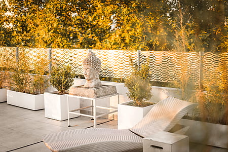 gautama buddha bust beside plant thumbnail