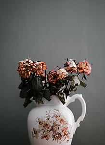 wilted pink roses on glass vase thumbnail
