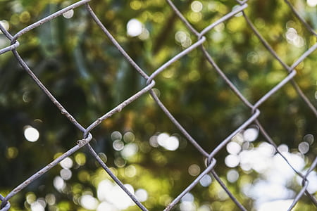 selective focus photography of cyclone fence thumbnail