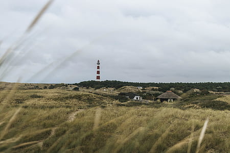 Small Houses Near Brown Grass Field thumbnail