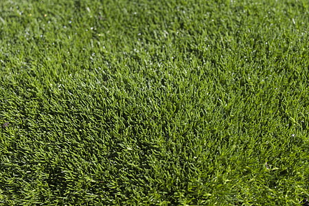 green grass thumbnail