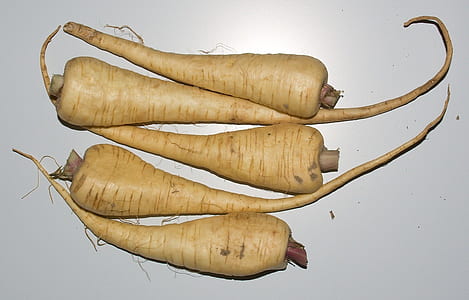 five white radishes thumbnail
