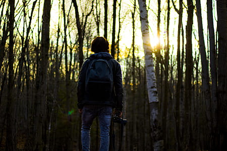 Person in Gray Jacket Wearing Backpack in Forest thumbnail