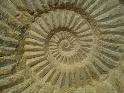 closeup photo of spiral carved artwork thumbnail