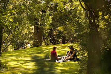 two people lying on grass with blanket surrounded by trees during daytime thumbnail