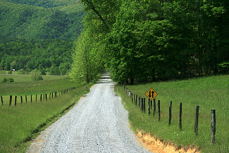 gray concrete road between rice fields thumbnail