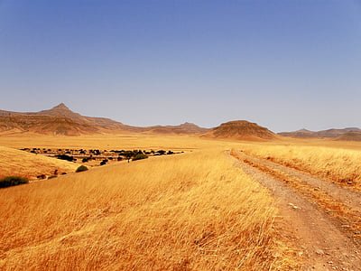 grass field leading to mountains thumbnail