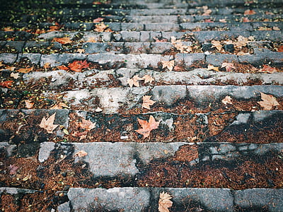 closeup photo of gray staircase thumbnail