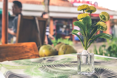 shallow focus photography of yellow flowers in glass vase thumbnail