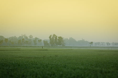 green grass field thumbnail