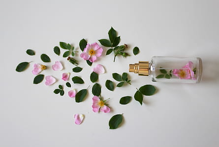 pink rose petals and green leaves near clear glass fragrance bottle on white surface thumbnail