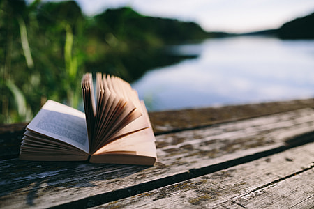 Reading book at lake thumbnail