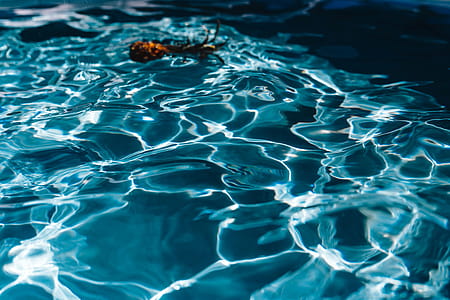 Pineapple in a swimming pool thumbnail