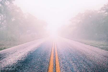 grey asphalt road between green trees under clear sky during daytime thumbnail