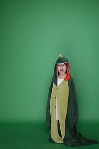 boy wearing crocodile costume thumbnail