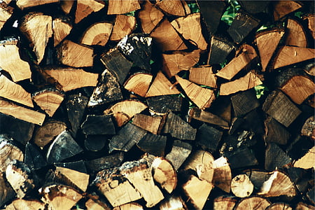 pile of brown wood log thumbnail