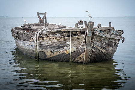 wooden boat on body of water thumbnail