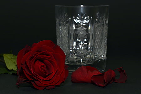 crystal cut drinking glass beside red rose thumbnail