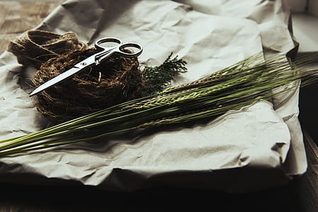 scissors and leaves on white textile thumbnail