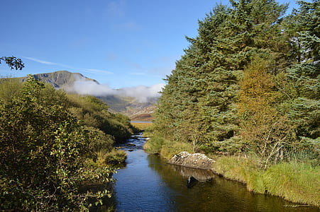 river surrounded by trees thumbnail