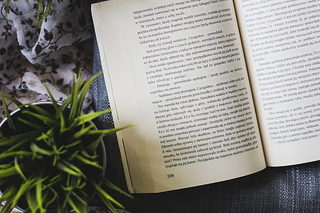 opened book beside green leafed potted plant thumbnail