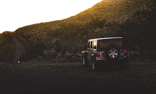 gray and black SUV on green lawn grasses at daytime thumbnail