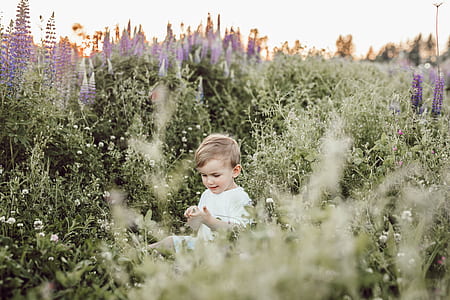 boy in white suit holding green plant thumbnail