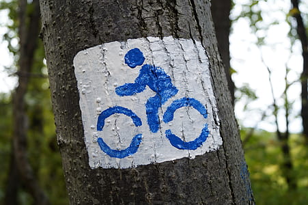 bicycle lane road signage thumbnail