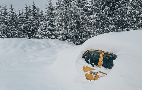 yellow vehicle covered in snow near green leaf trees at daytime thumbnail