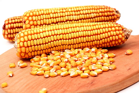 three yellow corns on top of wooden table thumbnail