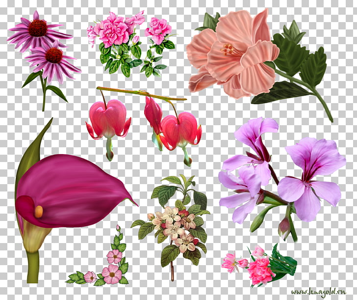 Flower Blumen Png Clipart Free Cliparts Uihere