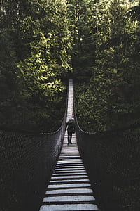 man walking on hanging bridge grayscale photography thumbnail
