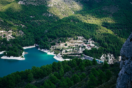 bird's eye view of village near trees thumbnail