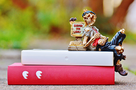 selective focus photography of calavera figurine on books thumbnail