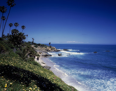 seashore under blue sky during daytime thumbnail