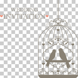 Columbidae Wedding Invitation Illustration Dangling Love Birds