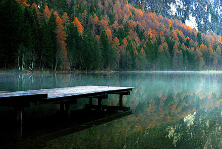 photo of gray wooden bridge near lake at daytime thumbnail