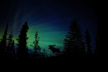 light, dawn, landscape, sky thumbnail