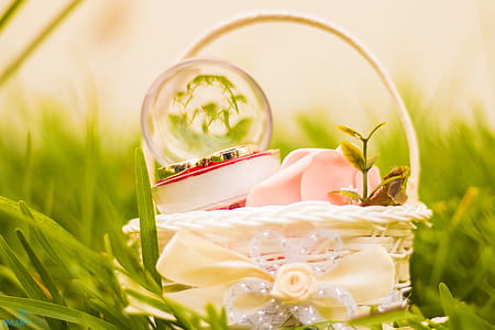 grass, ground, macro, basket thumbnail