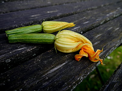 two yellow bud flowers on brown surface thumbnail