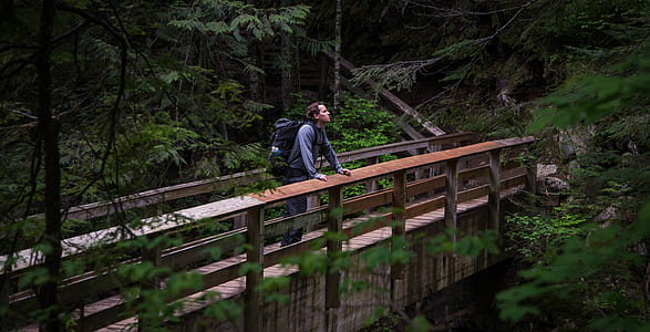 nature, man, person, bridge thumbnail