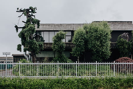 Municipal greenery thumbnail