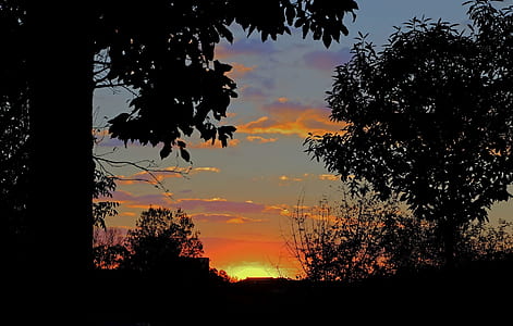 silhouette of trees during sunset thumbnail