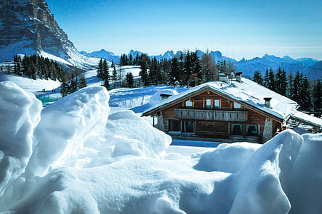 snow-capped brown wooden house surrounded with trees at daytime thumbnail