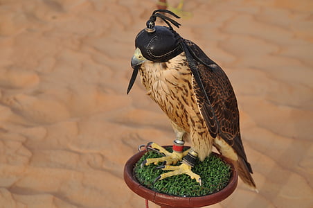 black and brown bird figurine thumbnail