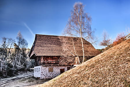 Brown Roof House Near Withered Trees Photography thumbnail
