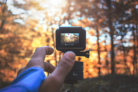 selective focus photography of person taking video of tall trees during daytime thumbnail