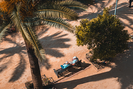 two person sitting on bench near coconut tree at daytime thumbnail