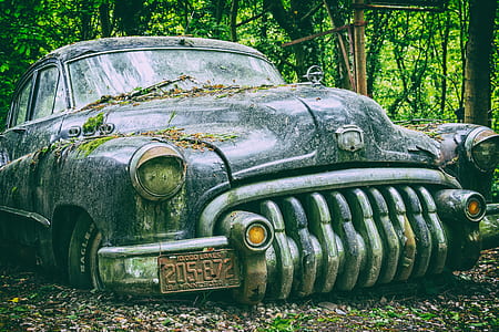 broken vehicle on forest thumbnail