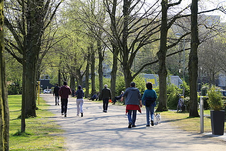 people walks at the park thumbnail